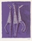 Aquarius (Guastalla L130)  