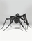 Spider V  