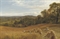 The heart of Surrey
