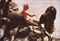 Pilar Crespi with Elephants, 1980  