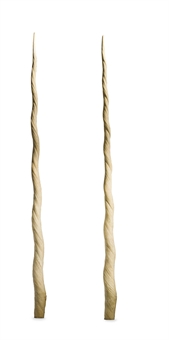 DEUX DENTS DE NARVAL  