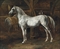 Cheval blanc debout dans une écurie (Tamerlan, étalon des écuries de Versailles): White horse standing in a stable (Tamerlan, stallion of the Versailles stables) 