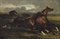 Etalons au galop: Galloping stallions  