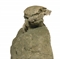 CRABE FOSSILISE RANINA MARESTIANA  