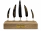 ENSEMBLE DE CINQ DENTS DE BALEINES CARNASSIERES KOGIOPSIS SP  