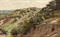 Summer landscape  