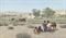 Indian Encampment  