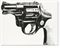 Gun  