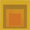 Homage to the Square: Amber Setting  
