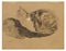 Study of a Cat  