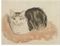 Wide-Awake Tortoiseshell Cat  