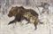 Bear hunting  