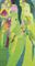 Three women, five parrots  
