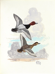 Source: Christie's Image