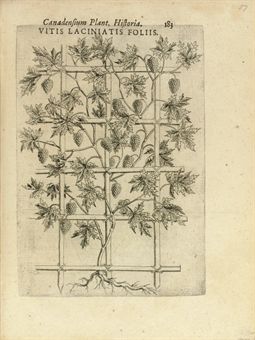 CORNUT, Jacques Philippe (1606-1651). Canadensium plantarum, aliarúmque nondum editarum historia nondum editarum historia cui adiectum est ad calcem enchiridion botanicum parisiense.  Paris: Simon le Moyne, 1635.