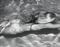 Mermaid 1, Amagansett, NY, 2005  