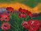 Mohn  