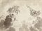 Design for a ceiling: Flora and a maenad with the fruits of the earth, Apollo beyond with the Chariot of the Sun 