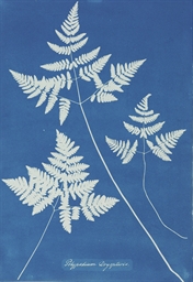 Source: Christie's Image
