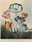 Tulips, by Earlom  