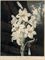 The White Lily, with variegated-leaves, by Stadler  