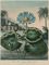The Blue Egyptian Water Lily; and The Sacred Egyptian Bean, by Stadler, and Burke & Lewis 