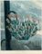 The Aloe; The Snowdrop; and the Passion Flower, by Medland, Ward, and Caldwall 