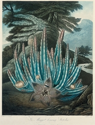 Source: Christie's Image