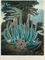 The Maggot-bearing Stapelia; The Dragon Arum; American Bog-Plants; and Pitcher Plant, by Stadler, Ward, Sutherland, and Cooper 
