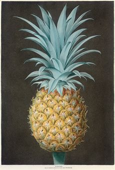 Smooth Leaved Green Antigua Pineapple; May Duke, White Heart Cherry, Black Heart Cherry; Grimwood's Royal George Peach, Grimwood's Royal Charlotte Peach, French Magnonne; Black Currant, White Currant, Dutch Red Currant; Plums; White Antwerp Raspberry, Red Antwerp Raspberry; White Avant Peach, Bears Red Avant, White Magdalen, Red Magdalen; Gallande, Noblesse Peach; and Amicua Melon, from 'Pomona Britannica' 