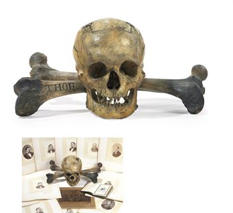 d5286778l Grisly Skull and Bones trophies to be auctioned