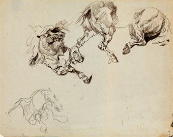 Studies of the front and hind quarters of a rearing horse
