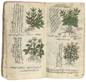 A TREATISE ON HERBAL MEDICINE AND OTHER WORKS  