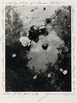 Grave, Susan Sontag's, November 2007  