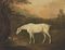 A grey hunter in a wooded landscape by a stream
