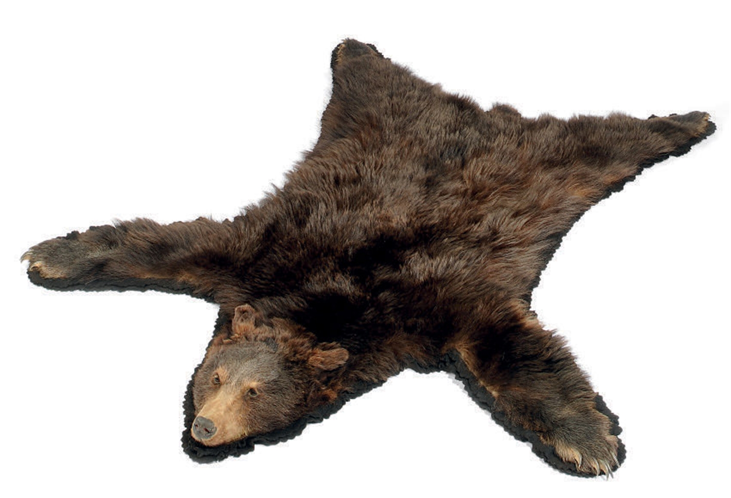stuffed animal bear rug