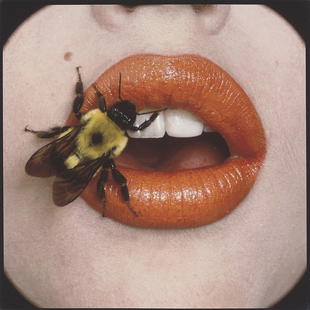IRVING PENN (19172009) Bee (A), New York, 1995 1990s, Photographs