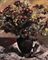 Gelbe und rote Astern (Herbstblumen)