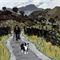 Farmer, Blaen Nantmor
