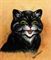 The contented cat