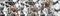 Black Star Press (rotated 90 degrees counterclockwise); Black Star, Black Press, Star Press