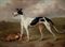 A prize greyhound in an extensive landscape