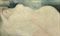 A reclining nude