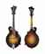 GIBSON MANDOLIN-GUITAR COMPANY