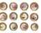 TWELVE LENOX PORCELAIN GOLD-GROUND MONOGRAMED BOTANICAL PLACE PLATES