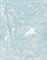 Blue Line Rectangle