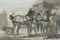 A coachman and his team  
