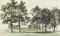 The Moat Island, Windsor Great Park