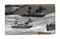 Gunboats in Wartime