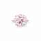 A COLOURED DIAMOND RING, BY HARRY WINSTON